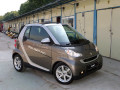 9895-smart fortwo