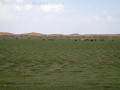 49613-《特驾游》——Jeep牧马人穿越腾格里沙漠
