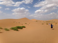 49617-《特驾游》——Jeep牧马人穿越腾格里沙漠
