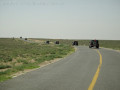49603-《特驾游》——Jeep牧马人穿越腾格里沙漠